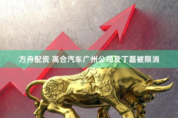 方舟配资 高合汽车广州公司及丁磊被限消