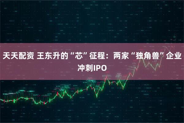 天天配资 王东升的“芯”征程：两家“独角兽”企业冲刺IPO