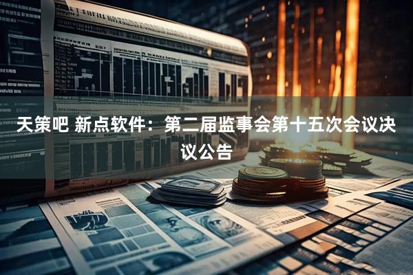 天策吧 新点软件：第二届监事会第十五次会议决议公告