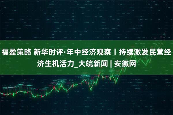 福盈策略 新华时评·年中经济观察丨持续激发民营经济生机活力_大皖新闻 | 安徽网