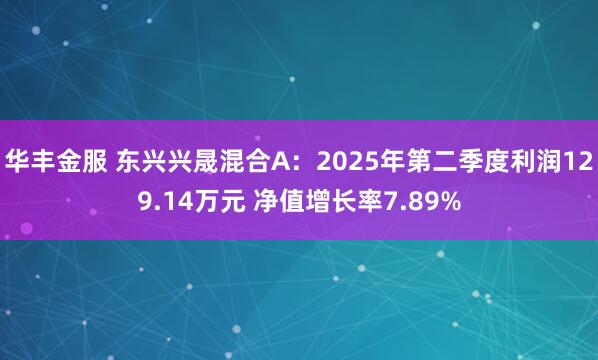 华丰金服 东兴兴晟混合A：2025年第二季度利润129.14万元 净值增长率7.89%