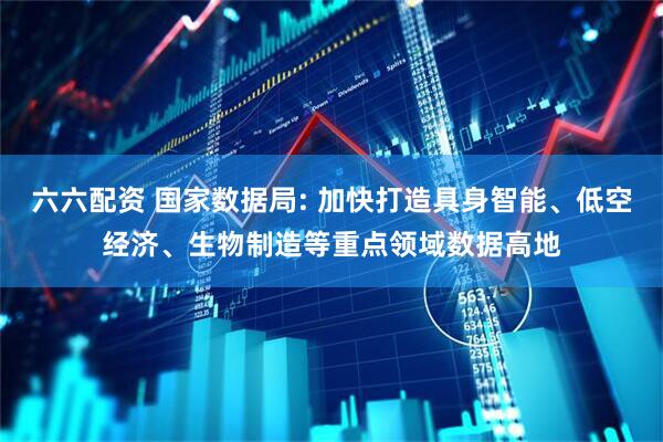 六六配资 国家数据局: 加快打造具身智能、低空经济、生物制造等重点领域数据高地